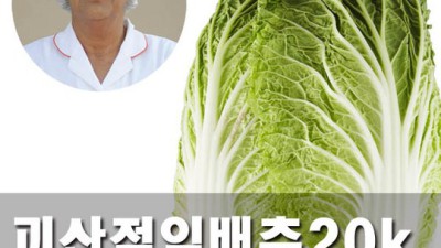놓치면 후회! 절임배추20k 특가 후기 & 김장 꿀팁🥬