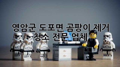 영암군 도포면 곰팡이 제거 청소 전문 업체