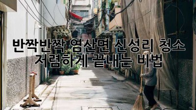 ✨반짝반짝✨ 염산면 신성리 청소, ✨저렴하게✨ 끝내는 비법! 🤫